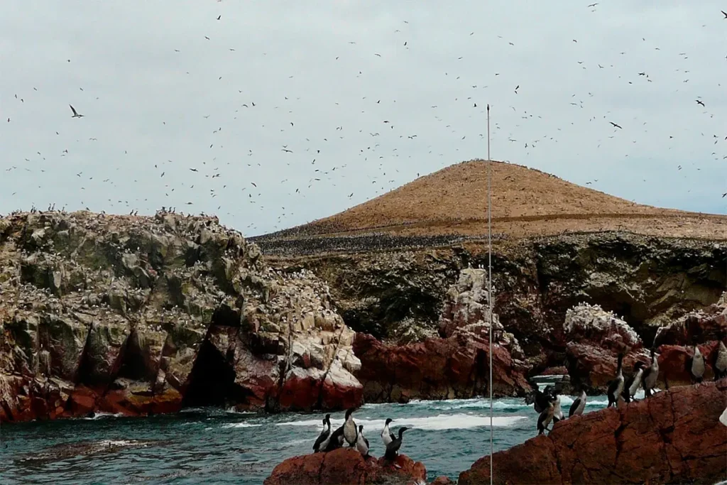 Paisaje de la costa desértica en la Reserva Nacional de Paracas, conexión ideal desde Lima.
